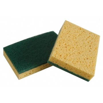 Éponge Abrasive